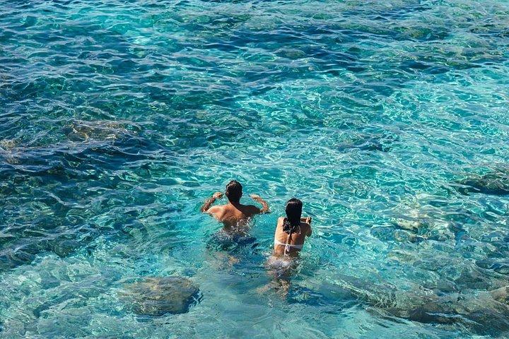 5 TERRE：パーソナルボートツアー！ 地元の船長。 最大5名様まで