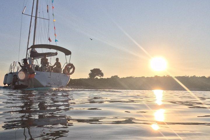 Pula: Privat Golden Hour Segel - Delfiner, drycker och Brijuni Visningar