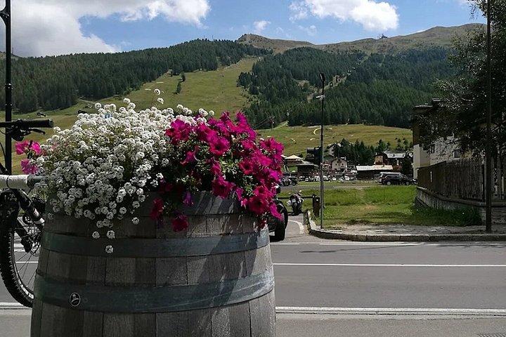 Livigno Craft Beer Tasting & Europe's Highest Brewery Tour