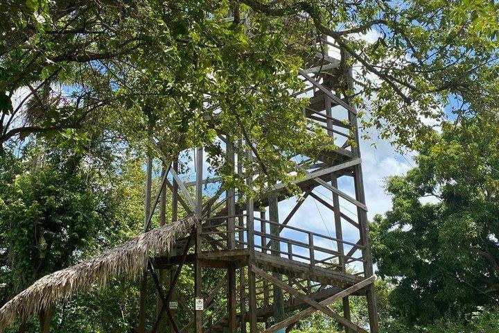 Puerto Plata Zipline-Abenteuer