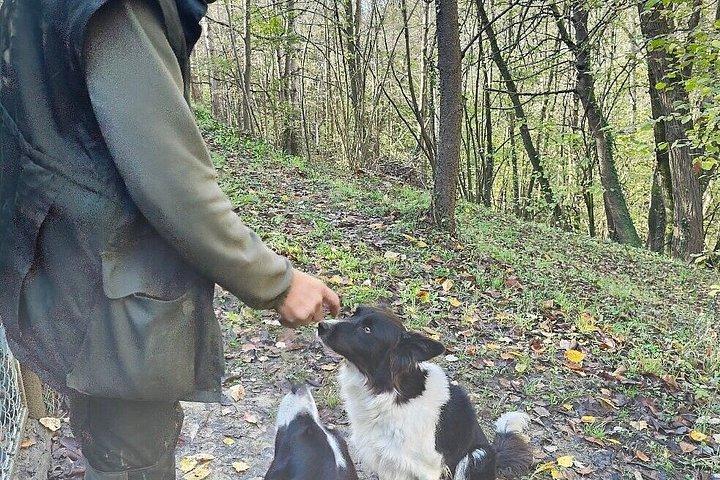 アルバ近郊でのトリュフ狩りとチーズ、トリュフ、ワインの試飲