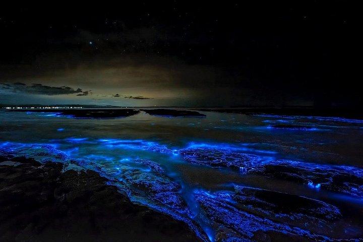 Grand Cayman Bioluminescence and Starfish Point