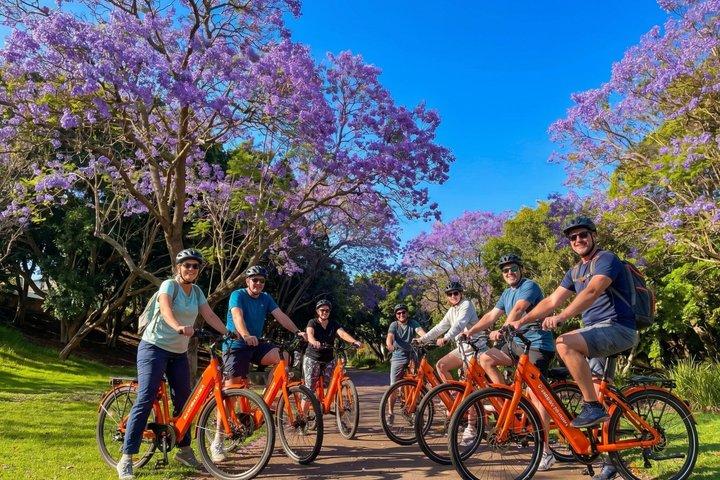 Santa Cruz de Tenerife Highlights cykeltur med E-cykel mulighed