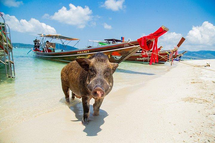 サムイ島からスピードボートで行くタン島とマドサム島のシュノーケリング旅行