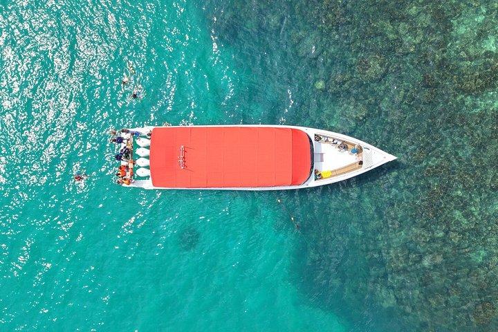 サムイ島からスピードボートで行くタン島とマドサム島のシュノーケリング旅行