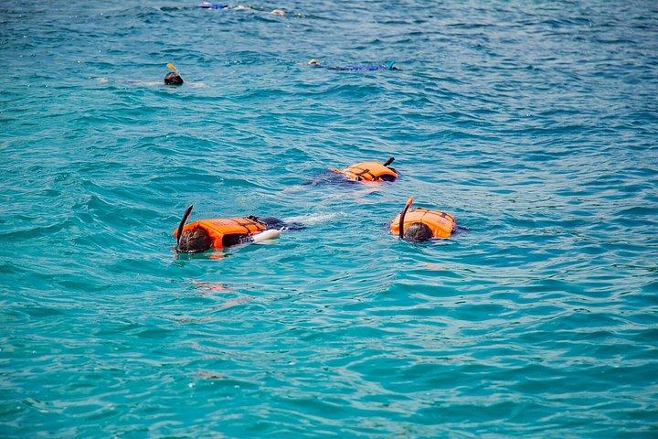 サムイ島からスピードボートで行くタン島とマドサム島のシュノーケリング旅行