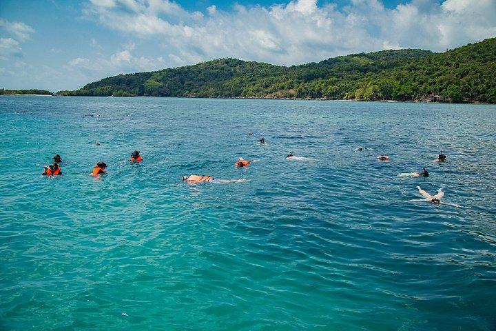 サムイ島からスピードボートで行くタン島とマドサム島のシュノーケリング旅行