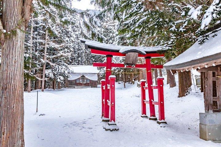Nagano Snow Monkey Park Private Tour from Tokyo