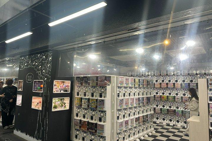 Osaka Anime Town Guided Shopping Tour