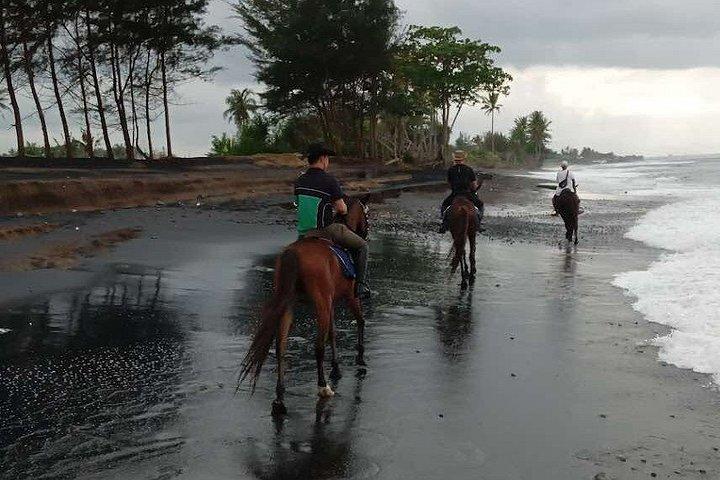 バリ乗馬コロンバインバリラフティング
