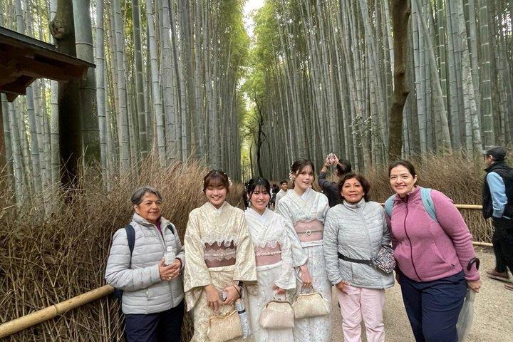 日帰り旅行者向けの京都一日プライベートツアー