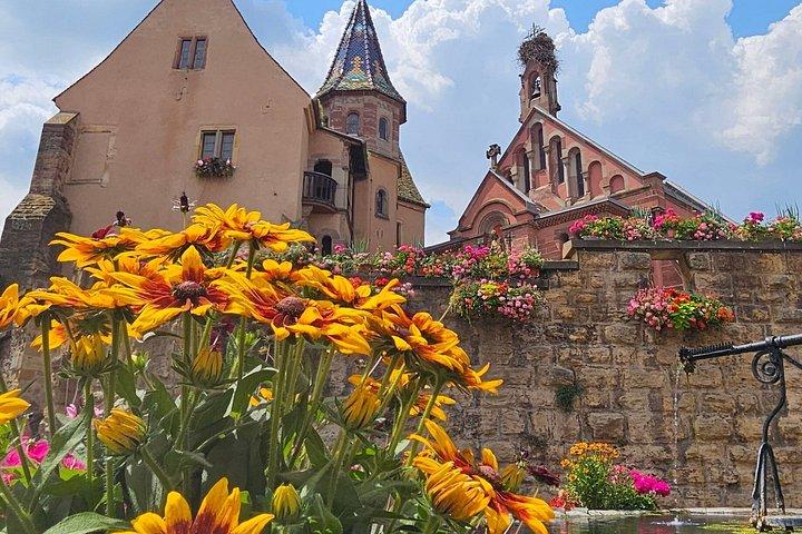 Alsace julmarknad och vinprovning Tour