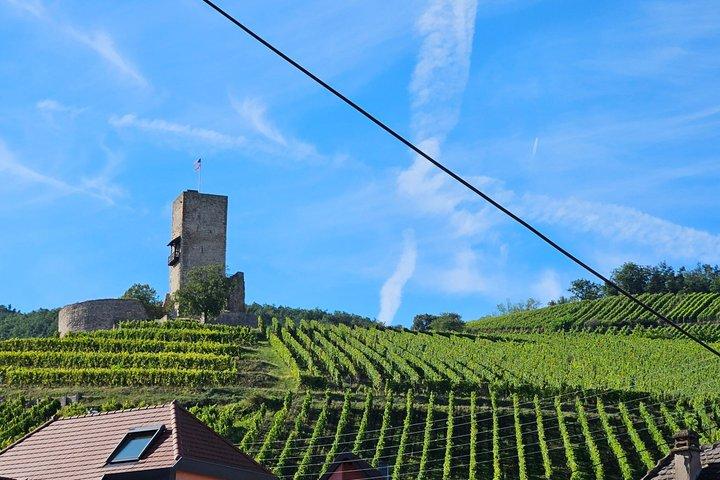 Alsace julmarknad och vinprovning Tour