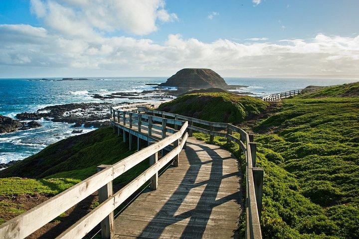 Phillip Island Penguins – Private Shore Tour from Melbourne