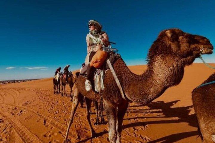 Merzouga Desert Camp Camel Trek 4 4