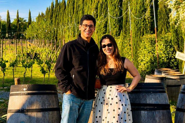 Da Firenze : Chianti Wine Experience con Degustazioni e Viste