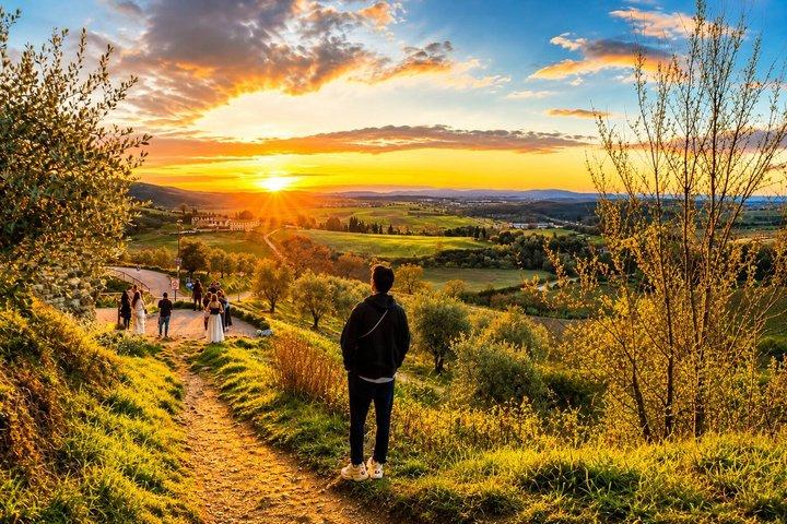 Da Firenze : Chianti Wine Experience con Degustazioni e Viste