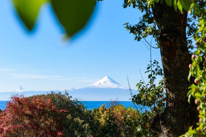 Frutillar & Llanquihue von Puerto Varas oder Puerto Montt