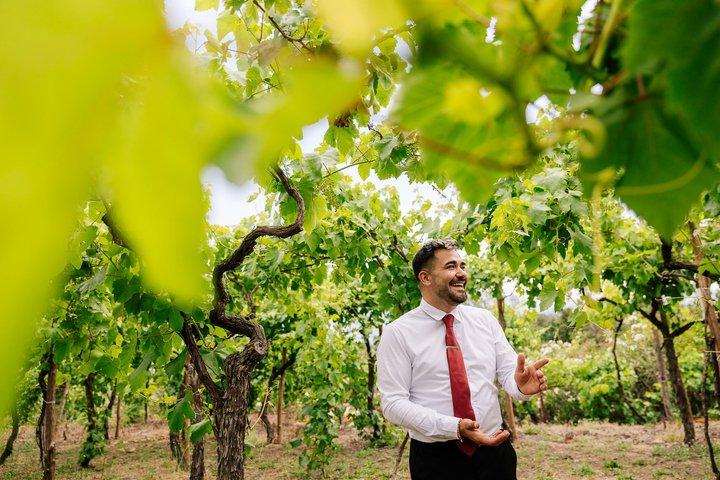Visite de Pompéi et déjeuner avec dégustation de vin