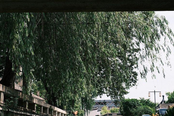 新昌TCM運河ボートと屋台料理1日ウェルネスツアー