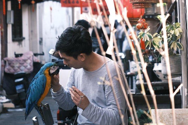 1 dag wellnesstour in Xinchang TCM Canal Boat en Street Food