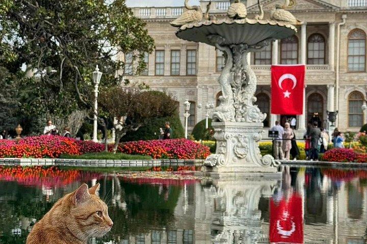Istanbul Dolmabahce Palace and Harem Fast Track and Audio