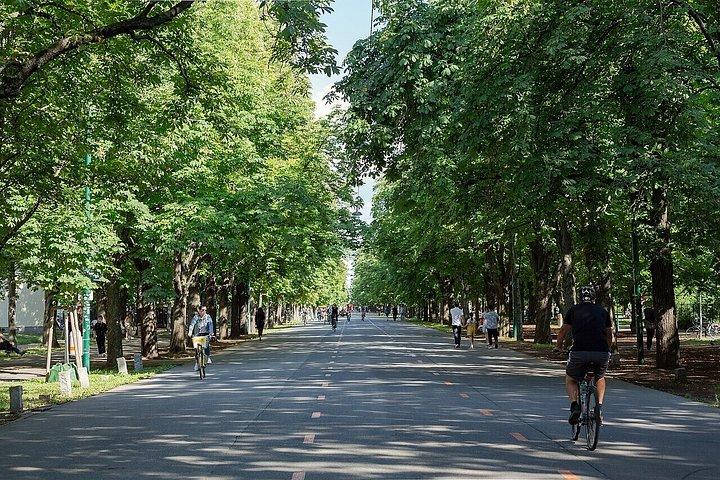 E-cykeltur i Wien