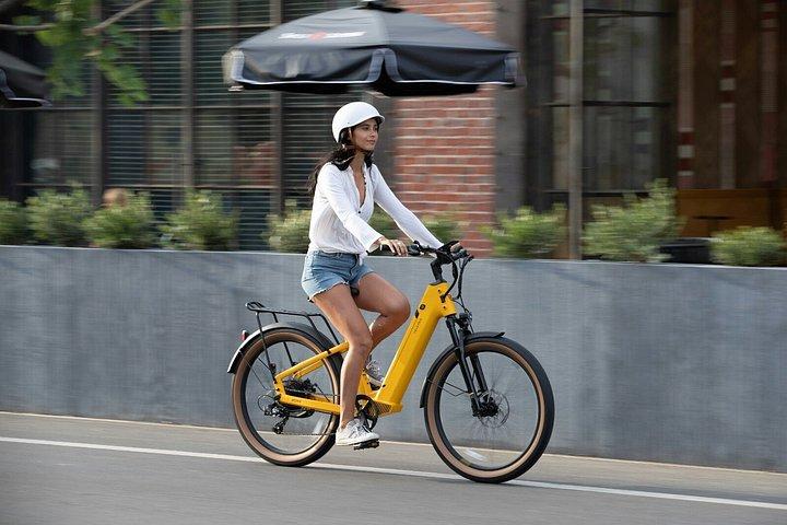 E-cykeltur i Wien