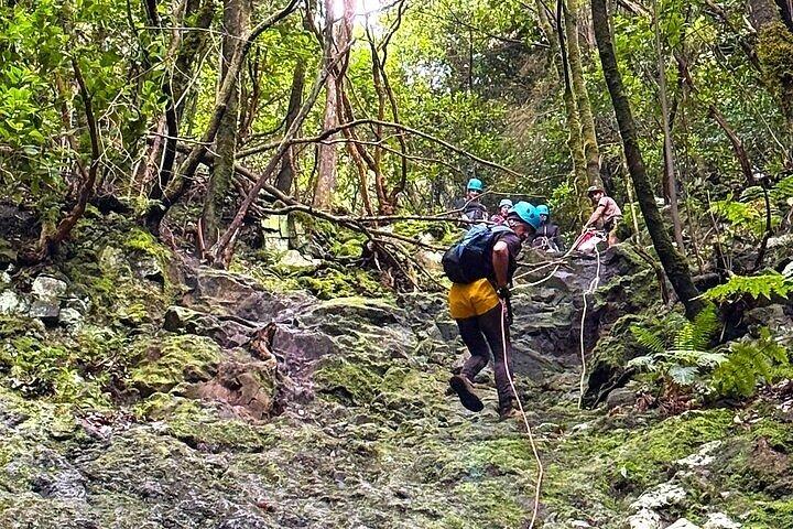 テネリフェ島周辺でのガイド付きキャニオニングツアー - 少人数グループ