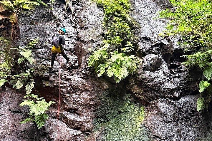 テネリフェ島周辺でのガイド付きキャニオニングツアー - 少人数グループ