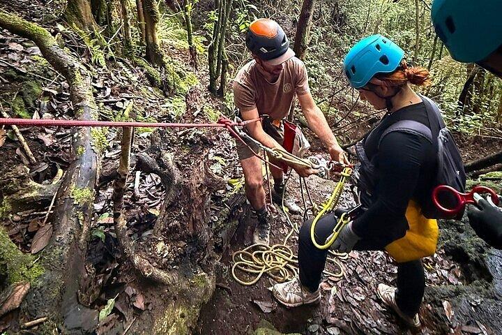 テネリフェ島周辺でのガイド付きキャニオニングツアー - 少人数グループ