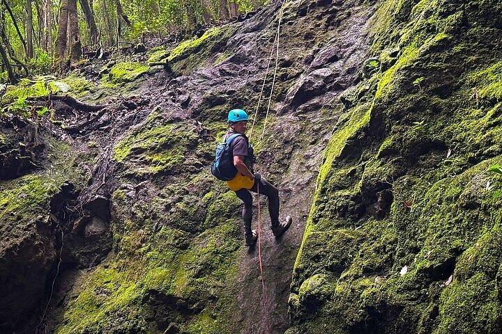 テネリフェ島周辺でのガイド付きキャニオニングツアー - 少人数グループ
