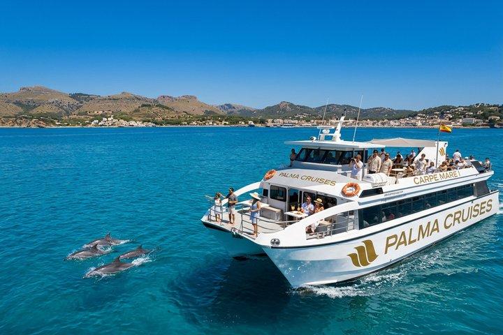 Avvistamento di delfini da Palma di Maiorca