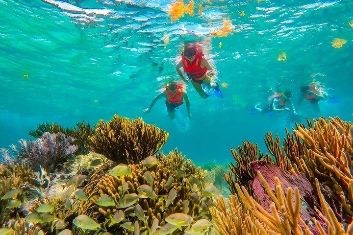 3 Cenotes Escondidos Experiência e snorkeling em Puerto Morelos Reef