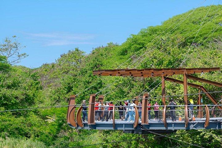 Escursione a terra Puntarenas: Rainforest Skywalk & Tarcoles River