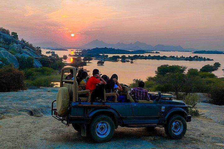 Jawai Jungle Safari from Udaipur 2 Night 3 Days