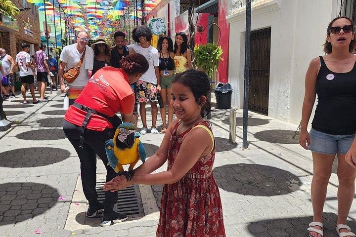 Puerto Plata:Panoramic Tours, Cultural, Local Lunch
