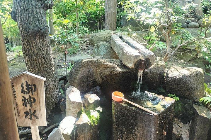 柴又文化散策ツアー（現地ガイド付き）