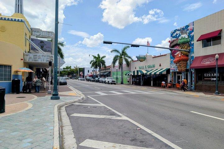Miami Combo: Everglades Adventure and Sightseeing Tour