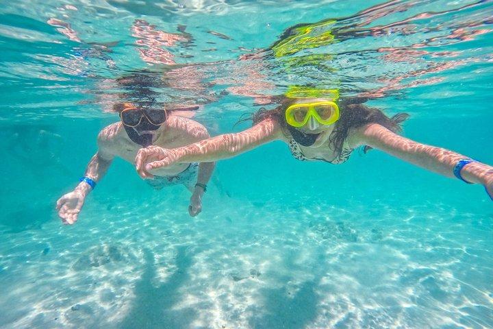 Koh Tao og Nang Yuan 5 spot snorkling med frokost