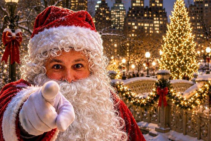 セントラルパークのクリスマスサンタワンダーランドツアー