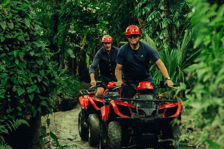 ウブドATVクワッドバイクでジャングル洞窟の田んぼを通り抜ける