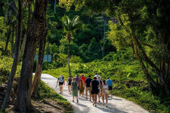Phuket Ethical Elephant Experience i Patong