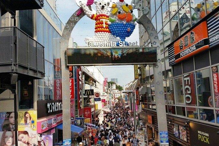 Tokyo Private Sightseeing Tour with English-Speaking Driver