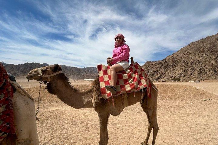 Sharm El Sheikh Safari Quad con giro in cammello e trasferimento