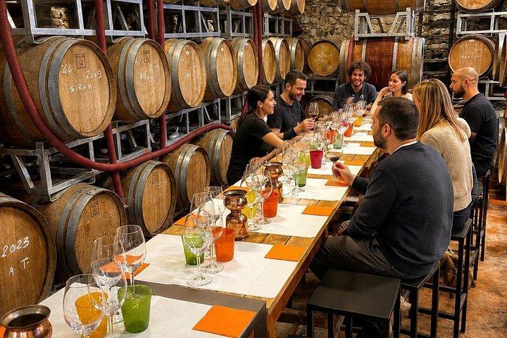 Cata de vinos en el centro histórico de Lazise