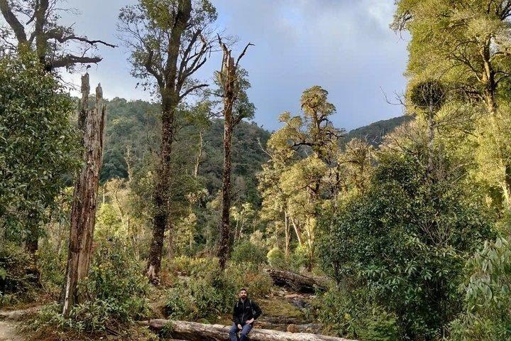 Fansipan Trek One Day – Roof of Indochina