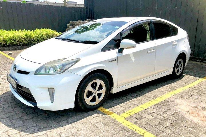 プライベートスリランカのドライバーと運転手によるカスタム複数日ツアー