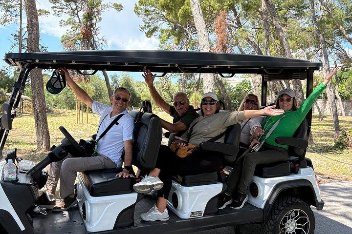 Split: City Tour by Electric Golf Cart