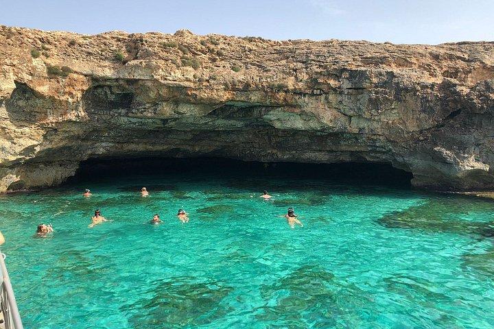 Dolphin Watching from Palma de Mallorca